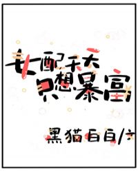 ������װ��