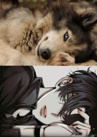 Ӱ��˵����ϲ����