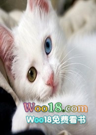 ��ݴ���һֻè