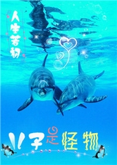 �����ǹ���