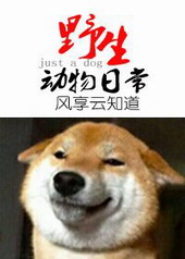 ǰ�޵�����