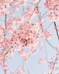 ����֮��