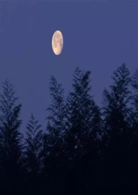 ��ȥ��������У԰1V1 ��