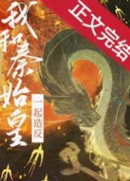 ����ʼ��һ���췴